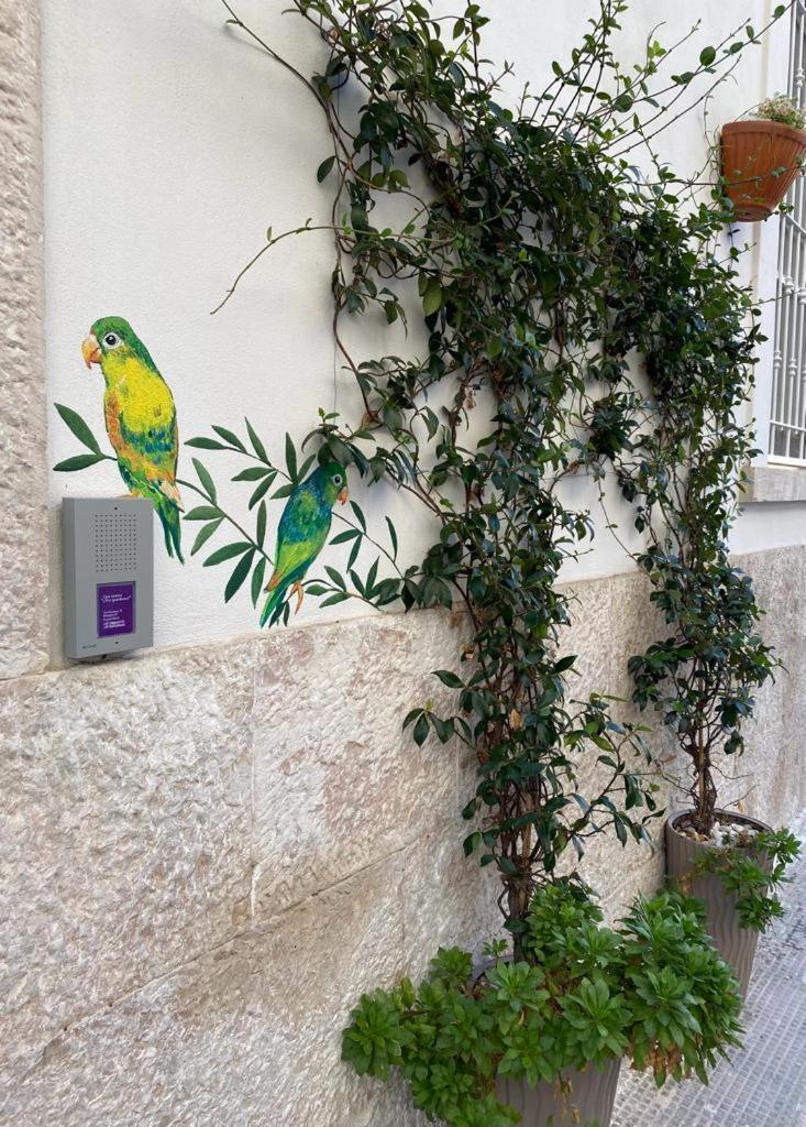 Iris Apartment, Comfort E Stile Nel Cuore Di Bisceglie Eksteriør billede